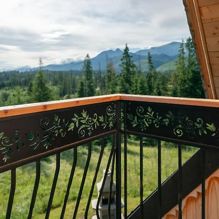 Niedzwiedz Nad Chocholowska 別荘 Witów