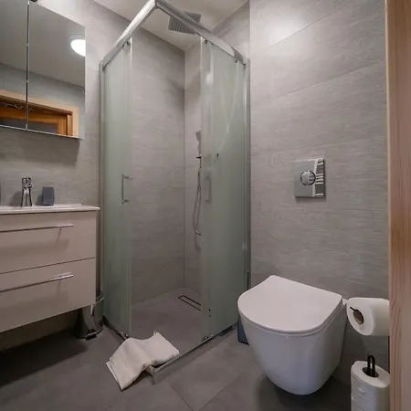 Niedzwiedz Nad Chocholowska *