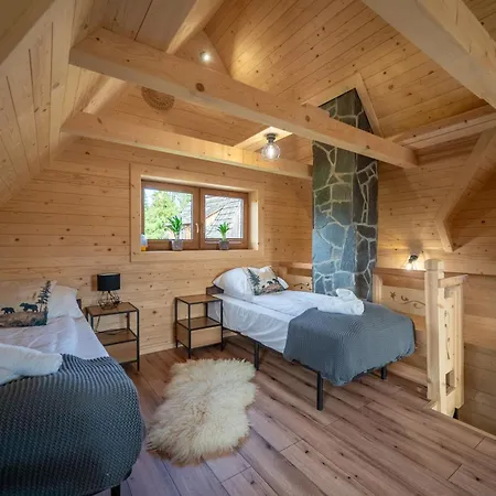 Niedzwiedz Nad Chocholowska *