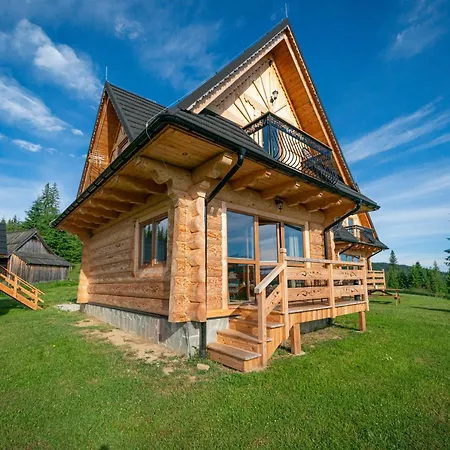 Niedzwiedz Nad Chocholowska