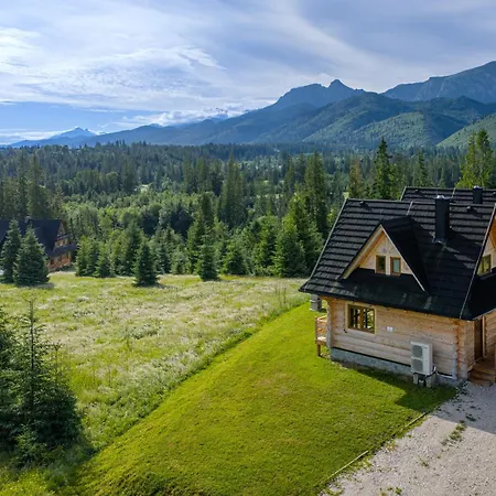 Niedzwiedz Nad Chocholowska