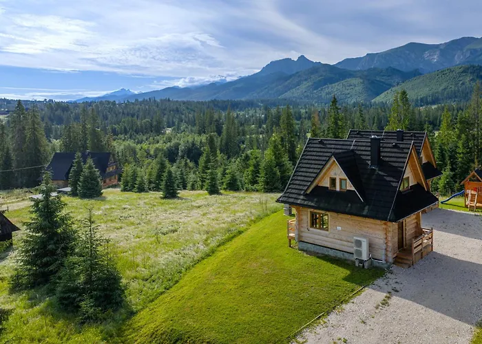 Niedzwiedz Nad Chocholowska